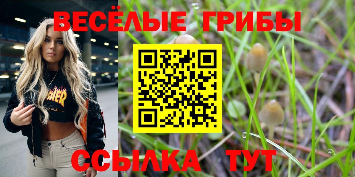 Междуреченск  Псилоцибиновые грибы прущие грибы  Вход с VPN 